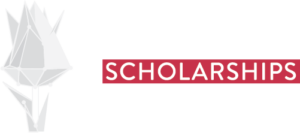 türkiye bursları-logo